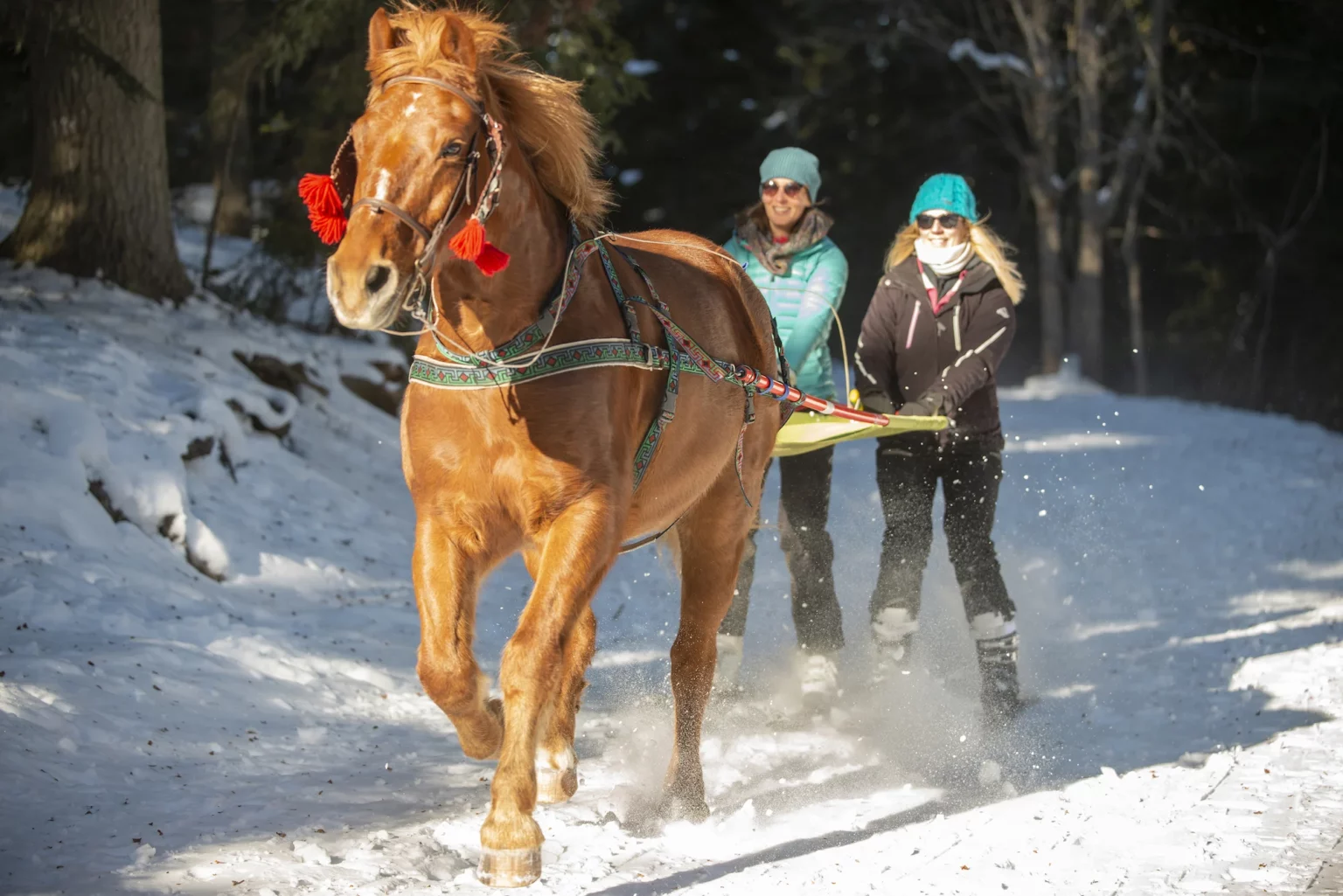 Val-d-Allos-Semaine-Outdoor