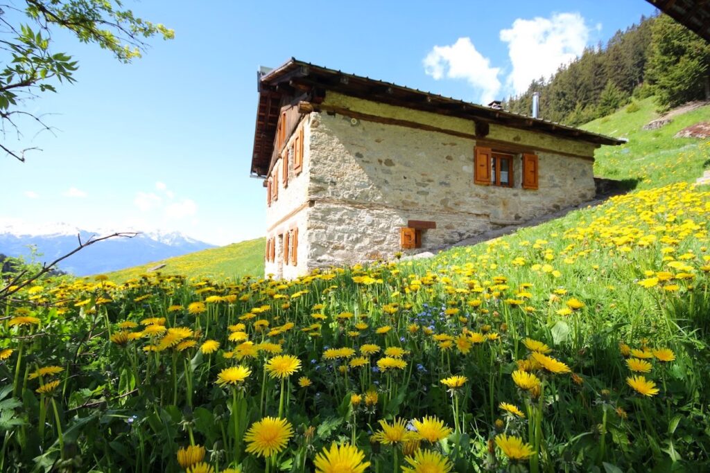 Où dormir à la Plagne et ses alentours ? Les 3 meilleurs hôtels en été La-Plagne-dormir-été