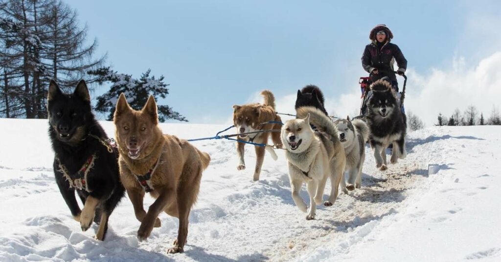 5 nouveautés à découvrir cet hiver au Dévoluy Le-Dévoluy-nouveautés-hiver-2024-2025