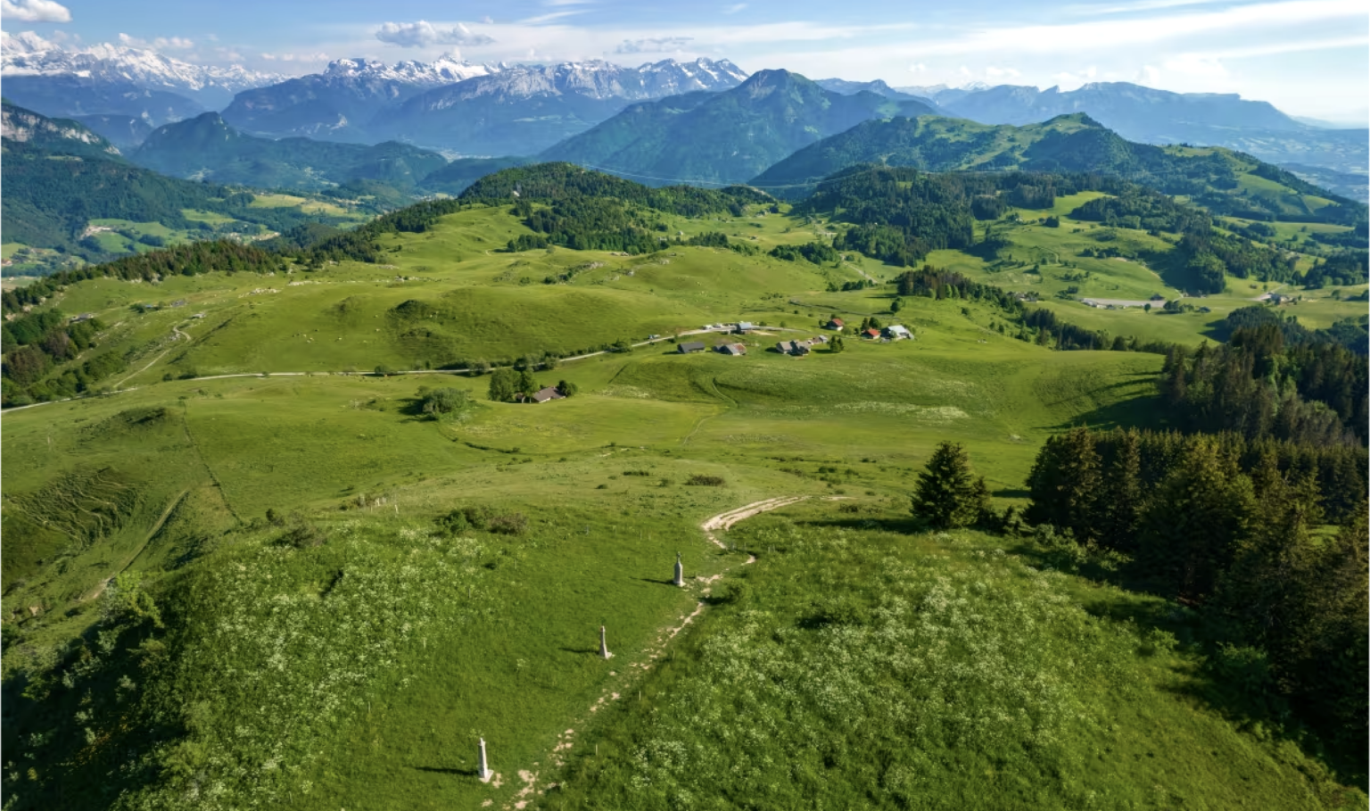 5 bonnes raisons de passer l’été à Môle & Brasses : entre nature, authenticité et paradis pour chiens Môle & Brasses