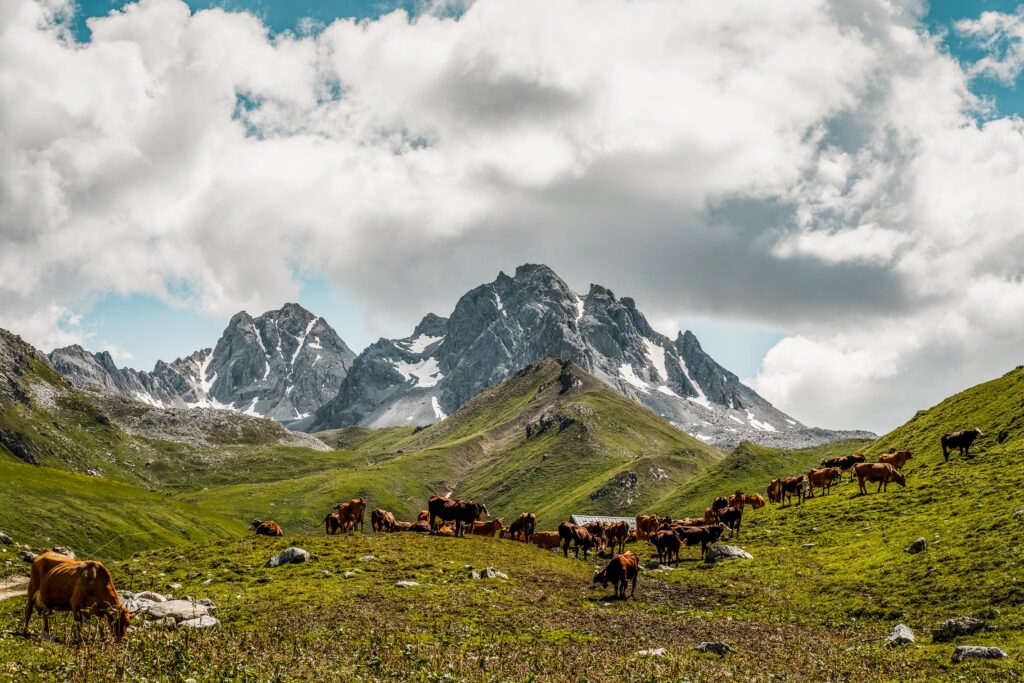 Alpage Courchevel Ferme