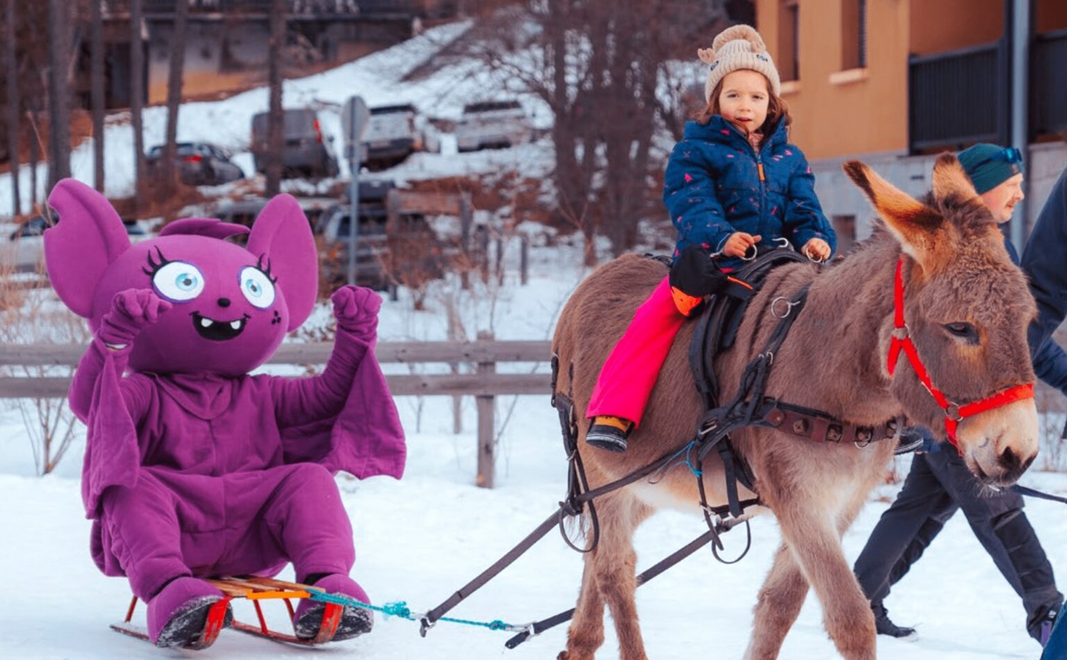 Donkey sledging, apéro-glisse... The best non-skiing activities to try out this winter in Dévoluy Ane luge apero glisse. The best off-ski activities to try this winter in Devoluy min