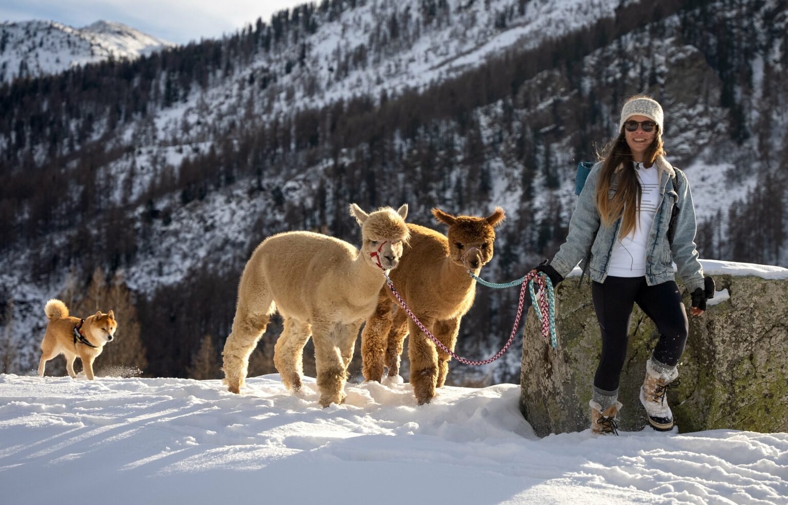 Pays des Ecrins les nouveautes a ne pas manquer cet hiver entre nature et experiences insolites min
