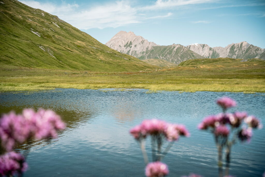 ©Yann Allegre HTV Col du Petit Saint Bernard 1
