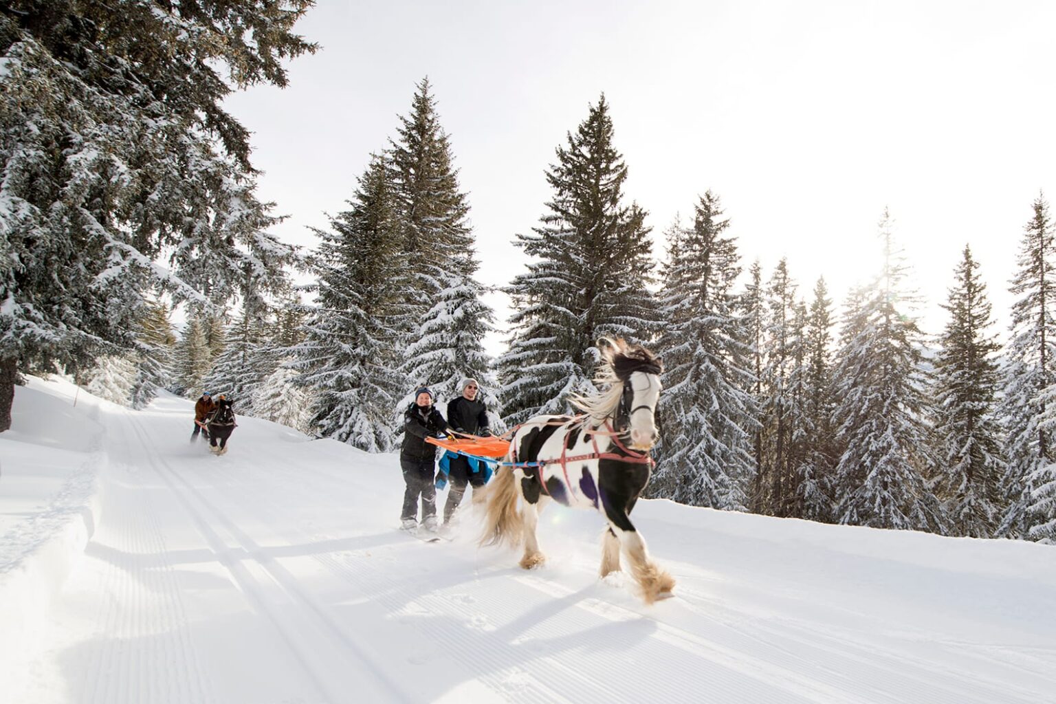 Cow-boys, ski joëring, grand bal country La Rosière se transforme en village du Far West cet hiver copie